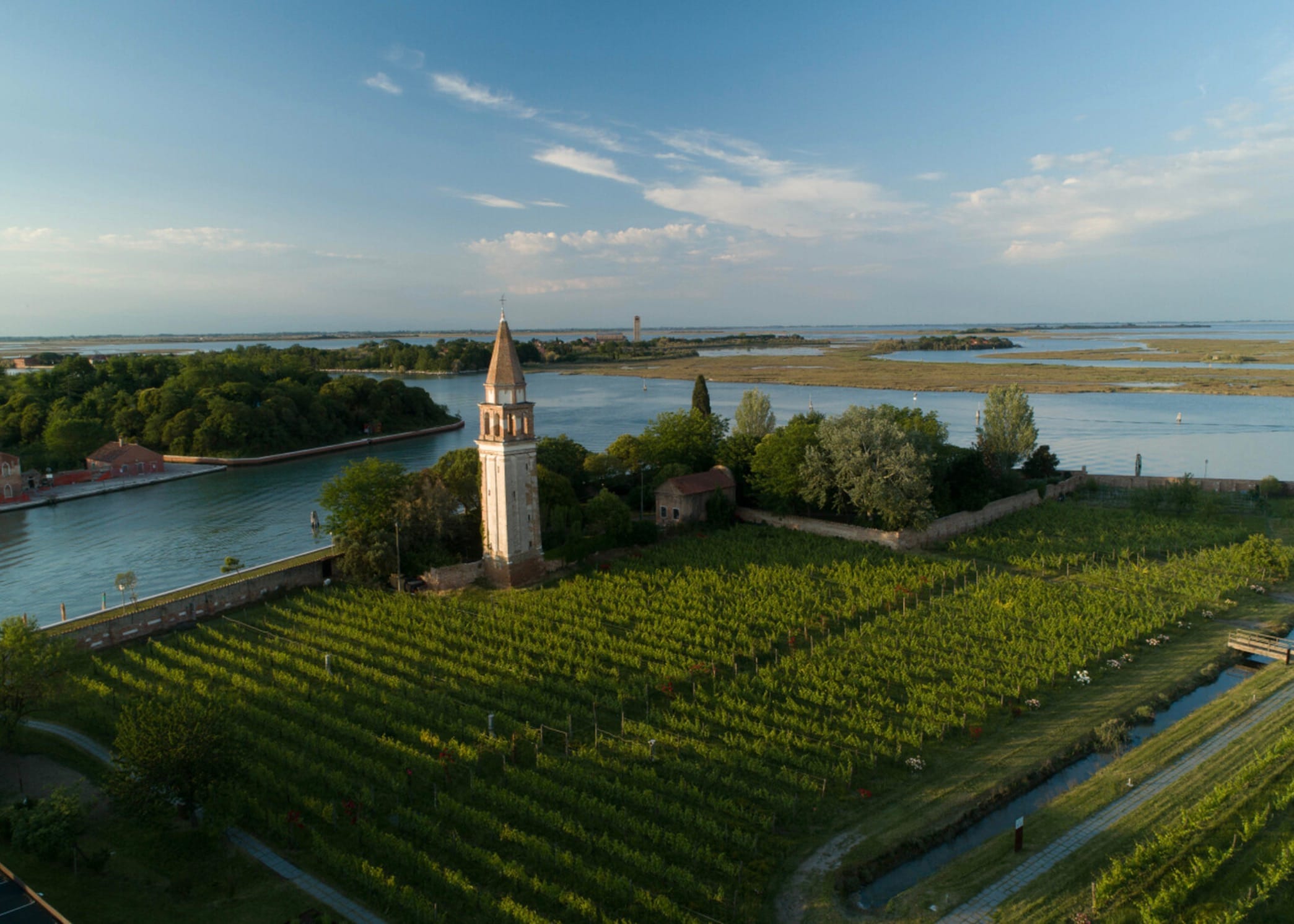 En vingård i Venezia