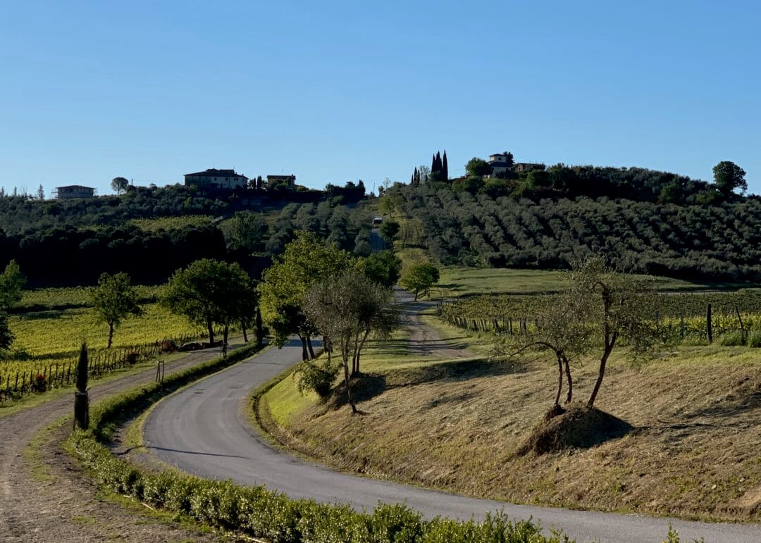 Il Peraccio Olivenolje