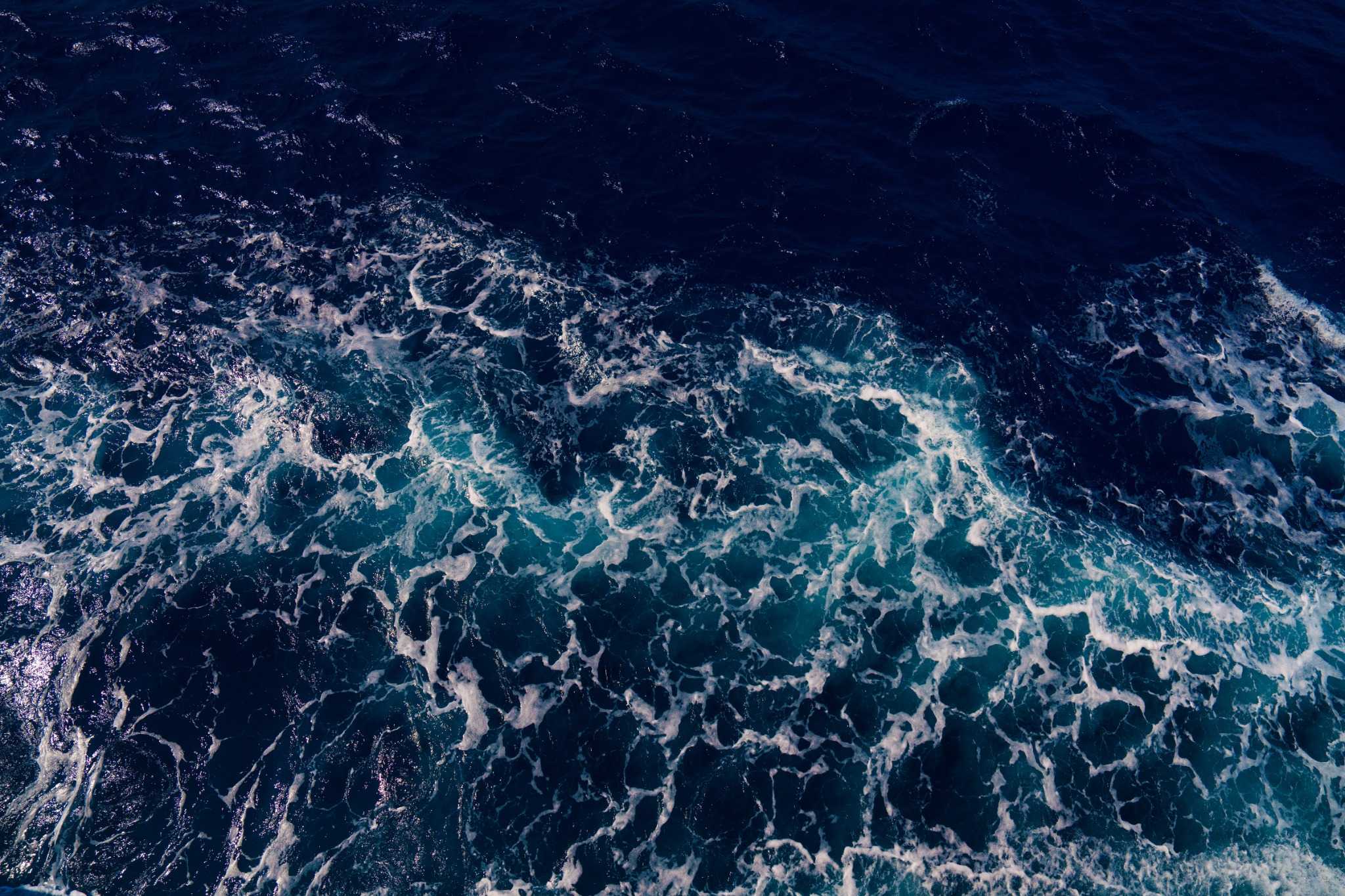 The Ocean Cleanup